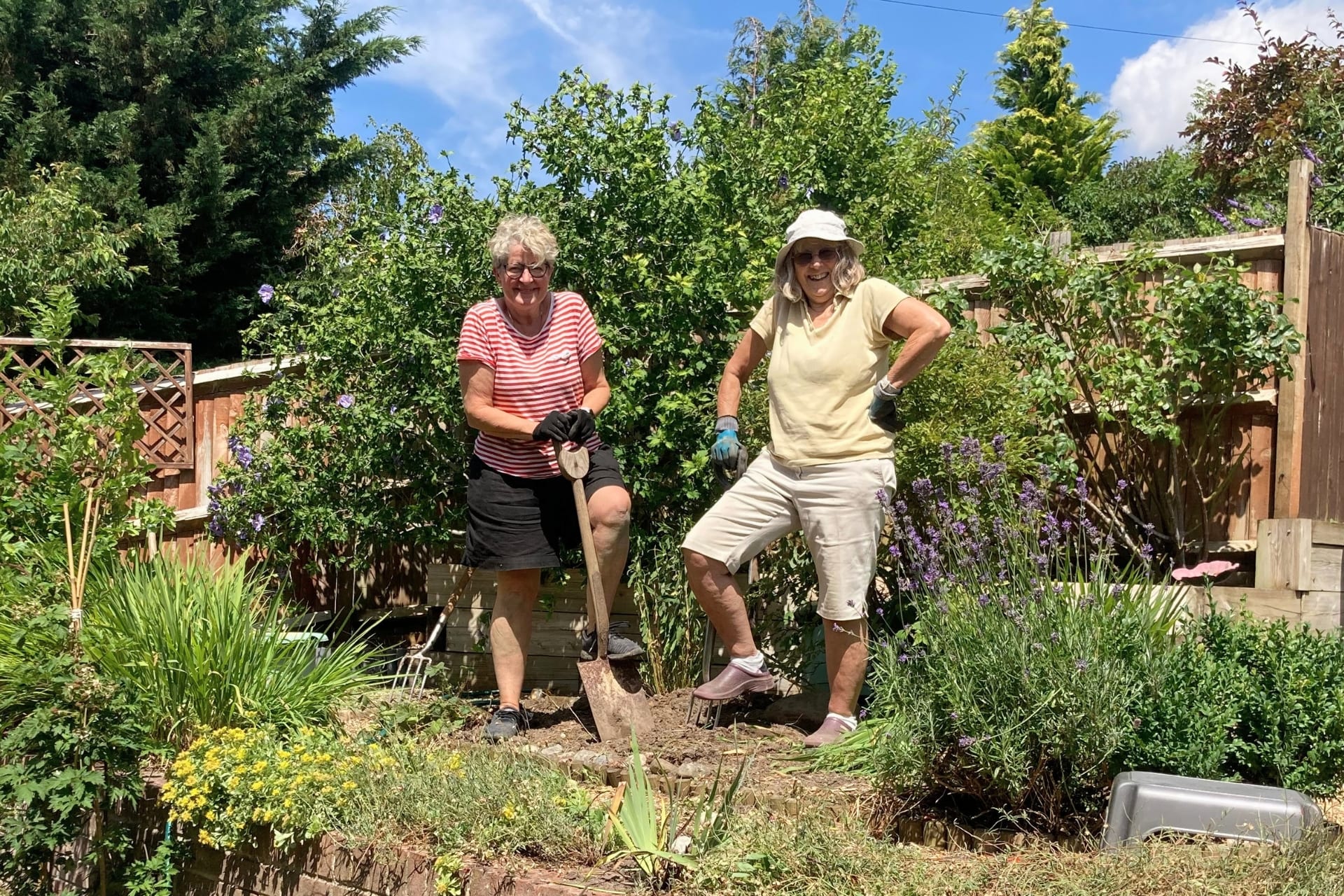 Two women gardening together in the sunshine